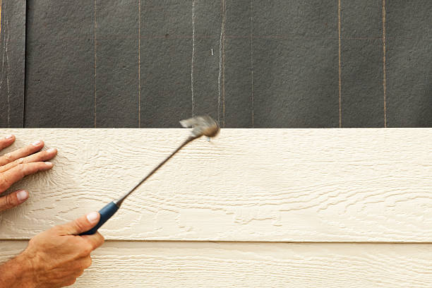 Best Siding Removal and Disposal  in Swartz Creek, MI